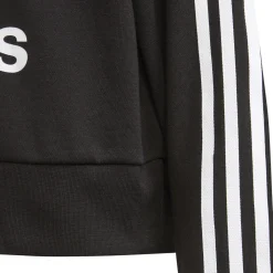 Sweats & Polaires^adidas Originals - THRENI Noir