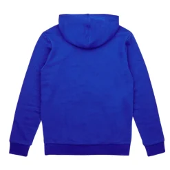 Sweats & Polaires^Adidas Sportswear - BL 2 HOODIE
