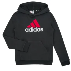 Sweats & Polaires^Adidas Sportswear - BL 2 HOODIE