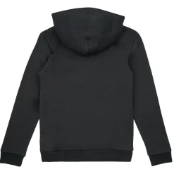 Sweats & Polaires^Adidas Sportswear - BL 2 HOODIE