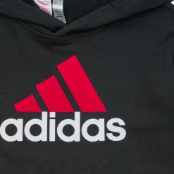 Sweats & Polaires^Adidas Sportswear - BL 2 HOODIE