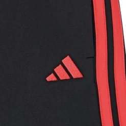 Shorts & Bermudas^Adidas Sportswear - JD6517
