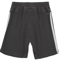 Shorts & Bermudas^Adidas Sportswear - JJ1039 Gris