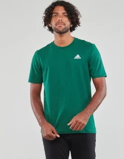 T-shirts & Polos^Adidas Sportswear - SL SJ T Vert