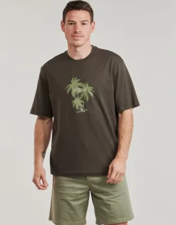 T-shirts & Polos^Armani Exchange - XM000772 Kaki
