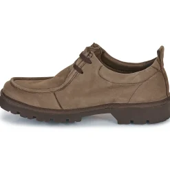 Derbies & Richelieu^Art - DENVER Marron
