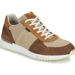 Baskets Mode^Bullboxer - DEAN CUP LOW M Marron