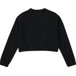 Sweats & Polaires^Calvin Klein Jeans - METALLIC BOX LOGO SWEATSHIRT Noir