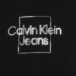 Sweats & Polaires^Calvin Klein Jeans - METALLIC BOX LOGO RELAXED HOODIE Noir