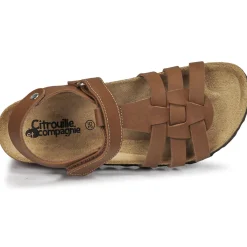 Sandales Et Nu-pieds^Citrouille et Compagnie - JANISOL Marron