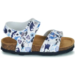 Sandales Et Nu-pieds^Citrouille et Compagnie - BELLI JOE Imprimébleudinosaures