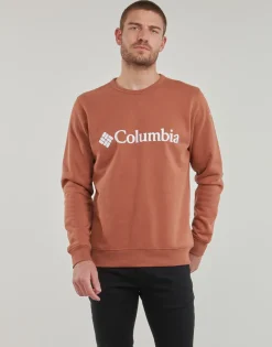 Sweats & Polaires^Columbia - CSC Basic Logo II Hoodie Marron