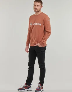 Sweats & Polaires^Columbia - CSC Basic Logo II Hoodie Marron