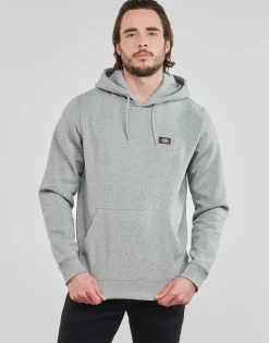 Sweats & Polaires^Dickies - OAKPORT HOODIE Gris
