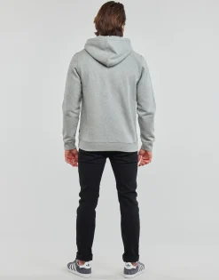 Sweats & Polaires^Dickies - OAKPORT HOODIE Gris