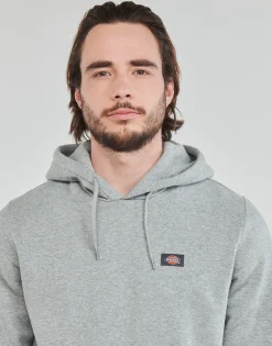 Sweats & Polaires^Dickies - OAKPORT HOODIE Gris