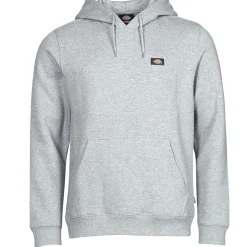 Sweats & Polaires^Dickies - OAKPORT HOODIE Gris