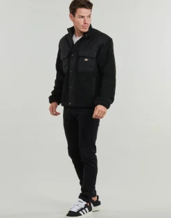 Vestes^Dickies - PINESDALE JACKET Noir