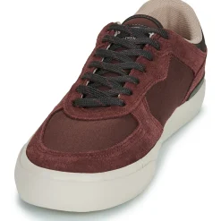 Baskets Mode^Element - HEATLEY 2.0 Bordeaux