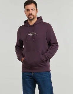 Sweats & Polaires^Element - SKATEBOARD CO HOOD Violet