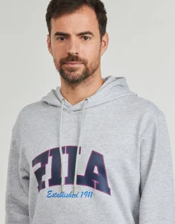 Sweats & Polaires^Fila - LANDEN Gris
