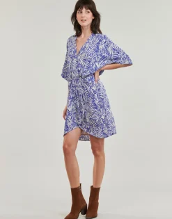 Robes^Freeman T.Porter - ROZA ZEBRURE Bleu