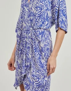 Robes^Freeman T.Porter - ROZA ZEBRURE Bleu