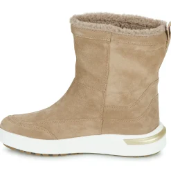 Bottines / Boots^Geox - D DALYLA B ABX Marron