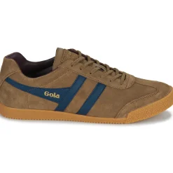 Baskets Mode^Gola - HARRIER