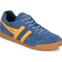 Baskets Mode^Gola - Harrier