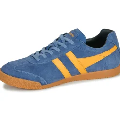 Baskets Mode^Gola - Harrier