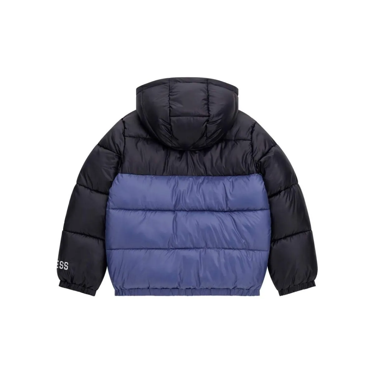 Manteaux^Guess - HOODED LS PADDED PUFFER W/ZIP Bleu