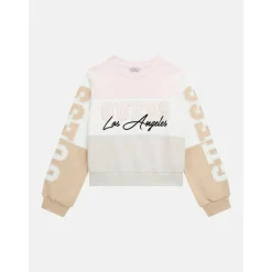 Sweats & Polaires^Guess - LS ACTIVE TOP Multicolore