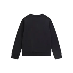 Sweats & Polaires^Guess - LSACTIVE TOP Noir