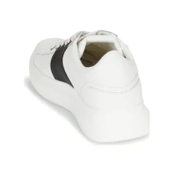 Baskets Mode^Guess - SALERNO