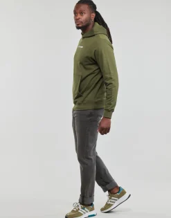 Sweats & Polaires^Helly Hansen - CORE GRAPHIC SWEAT HOODIE Kaki