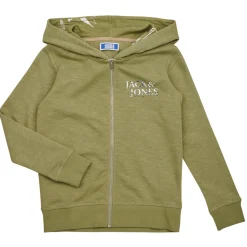 Sweats & Polaires^Jack & Jones - JORCRAYON SWEAT ZIP HOOD Vert