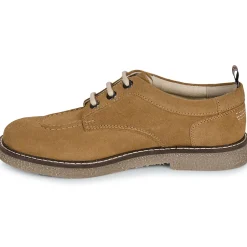 Derbies & Richelieu^Kickers - KICK LEVY Camel