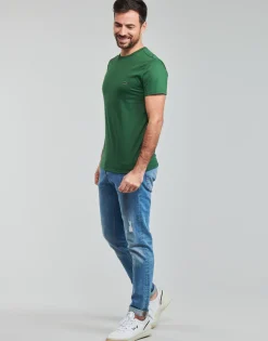 T-shirts & Polos^Lacoste - EVAN Vert