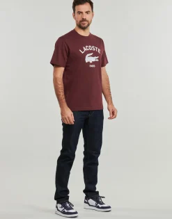 T-shirts & Polos^Lacoste - TH2733 Bordeaux