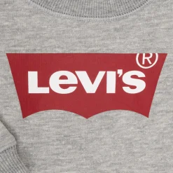 Sweats & Polaires^Levi's - BATWING CREW Gris