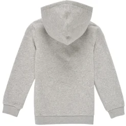 Sweats & Polaires^Levi's - BATWING SCREENPRINT HOODIE Gris