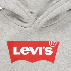 Sweats & Polaires^Levi's - BATWING SCREENPRINT HOODIE Gris