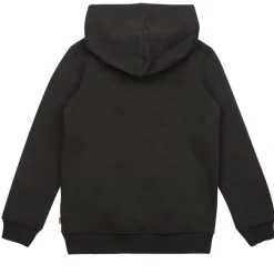 Sweats & Polaires^Levi's -  BATWING FILL HOODIE Noir