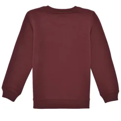 Sweats & Polaires^Levi's - LVB BATWING CREWNECK Marron