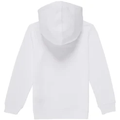 Sweats & Polaires^Levi's - PALM BATWING FILL HOODIE