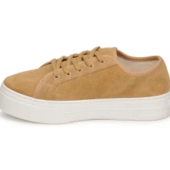 Baskets Mode^Levi's - TIJUANA Marron