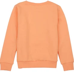 Sweats & Polaires^Name it - NKFLOFFINA LS SWE BRU PS Orange