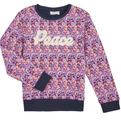 Sweats & Polaires^Name it - NKFTINIBA LS SWE BRU PS Multicolore