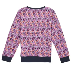 Sweats & Polaires^Name it - NKFTINIBA LS SWE BRU PS Multicolore